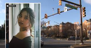 Image result for Deanna Cremin Tutorials