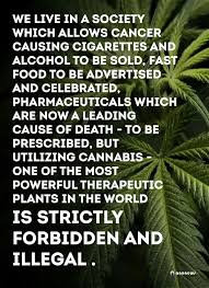 Pin On Cannabis Hemp Facts And Information