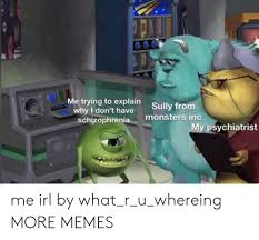 Me Trying To Explain Why I Don T Have Schizophrenia Sully From Monsters Inc My Psychiatrist Me Irl By What R U Whereing More Memes Dank Meme On Awwmemes Com