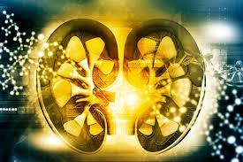 Acute kidney injury (aki), previously called acute renal failure (arf), is a sudden decrease in kidney function that develops within 7 days, as shown by an increase in serum creatinine or a decrease in urine output, or both. Bayerisches Arzteblatt