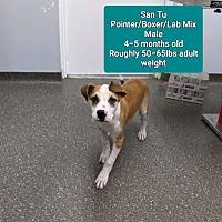 Visit our adoption center 1594 lakewood road unit 5 toms river. Save A Life Pet Rescue Inc In Oviedo Florida