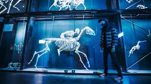 Bigflo et oli pressentis pour rejoindre la troupe. Bigflo Et Oli Posent Chacun Un Freestyle Sur Une Instru De Drake