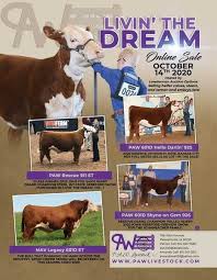 Keywords hit in search results. 270 Best Advertisements By Ranch House Designs Ideas In 2021 Ranch House Designs Ranch House Ad Design