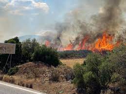 Φωτιά ανάμεσα σε βύρωνα και καισαριανή | tanea.gr · tanea team 27 ιουλίου 2021 | . O3yp3rnbac 41m