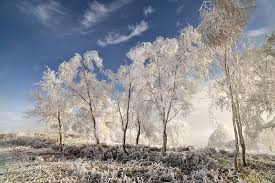 Pin On Our World Is Beautiful
