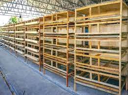 Ada beragam jenis kandang puyuh mulai dari kandang puyuh modern yang tersedia dalam. Tips Usaha Ternak Puyuh Pemula Dan Desain Kandang Modern