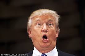 Trump stupid face Meme Generator - Imgflip