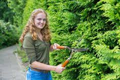 Für die stark aufrecht wachsende süßkirsche reicht der anfängliche erziehungsschnitt zum aufbau der krone in der regel aus. Kirschbaumschnitt Darauf Sollten Sie Beim Schneiden Achten