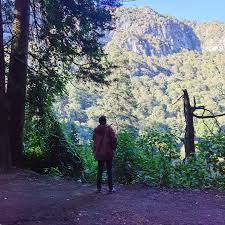 Victor Becerril 的Instagram photo • Dec 28, 2022 at 7:39 PM