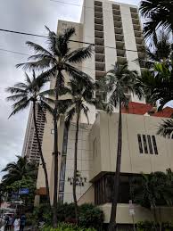 It's a good idea to ask about an instructor's training and experience, and get recommendations if possible. Oahu Travel Guide Where To Stay In Waikiki
