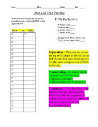 Dna Replication Transcription And Translation Practice Worksheet