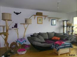 Es kommt nicht selten vor, dass eine katze eine phase in ihrem leben hat, in der sie nicht mehr das katzenklo nutzt und stattdessen andere orte in der wohnung verwendet, um mal auszutreten. Einrichtungsideen Und Anregungen Fur Die Katzenwohnung Problemkatze Nathalie Aigner Katzenpsychologin Katzen Verstehen Nathalie Aigner Katzenpsychologin