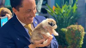 Visit your local san diego petsmart store for essential pet supplies like food, treats and more from top at petsmart, we never sell dogs or cats. Law Barring Retail Sale Of Dogs Cats In Effect Care Of Gloria Sd Humane Society Times Of San Diego