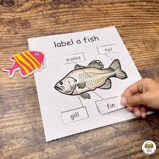 Ocean creatures preschool printable activities,lesson plans, crafts and coloring pages suitable for toddlers, preschool and kindergarten. Preschool Ocean Theme