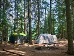 Come and experience glacier's pristine forests, alpine meadows, rugged mountains, and spectacular lakes. Fish Creek Campground Glacier National Park Wiscohana