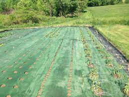 Pin On Gardening