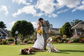 Maybe you would like to learn more about one of these? Wedding Elopement And Intimate Weddings Photographer Boston Bella Wang Photography