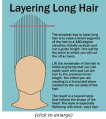 Pin On The Art Of Hair