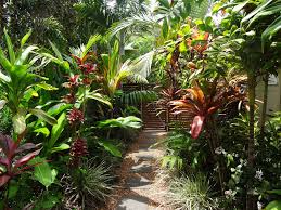 The Garden Of Frances Majewski On The Gold Coast Queensland Small Tropical Gardens Garden Design Tropical Garden