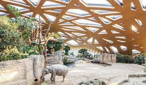 a humane home for elephants at zoo zurich azure magazine architekt zoo elefant