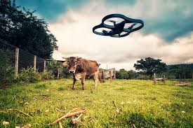 Image result for Amazon Drone Delivery Tryouts