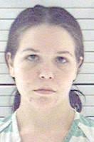 Cambria court system may handle seven homicide cases in 2017