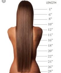 They may feature areas where the hair is kept men with medium length hair should be careful not to neglect it or it may quickly became unruly. A Guide On Hair Lengths It S Important Elegant Hair Extensions Facebook