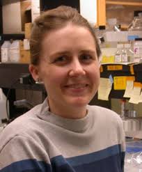 Symposium Held in Honor of Tollefson Les Lewis Retires