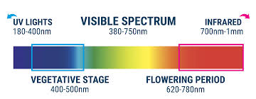 Cannabis Cultivation The Light Spectrum And Ways To Raise