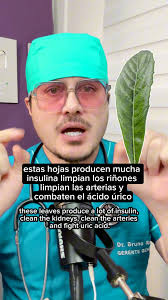 Tienes más de 40 y Quieres Vivir Más y Saludable