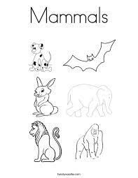 Check out some of our favorite mammals coloring pages. Mammals Coloring Page Twisty Noodle