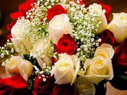 We did not find results for: Say Happy Birthday With Flowers In A Birthday Bouquet Dailymotion Video