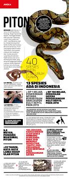 Dikutip dari situs snakedreams.org, ketika anda bermimpi. Ular Piton Dalam Angka Angka Majalah Tempo Co