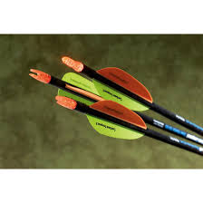 Lumenok Lighted Arrow Nocks 3 Pack