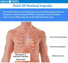 Image result for Point of Maximum Impulse