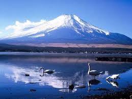 Mt Fuji Official Travel Guide Yamanashi