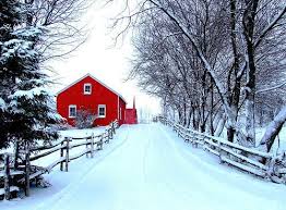 Just a picture blog of the things that interest me, i hope you like my blog! Coffee Lovin Mom Christmaswhenever A Winter Entrance By Winter Pictures Winter Scenery Winter Scenes