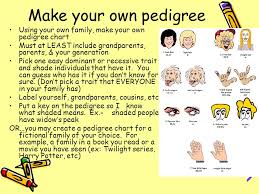 Making A Pedigree Chart Ppt Download