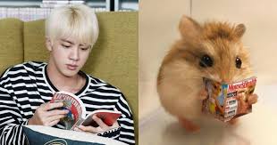 Awww this is so cute! There Is A Bts Jin Then There Is A Hamster Jin And We Can T Get Enough Of Both Koreaboo