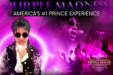 "PURPLE MADNESS" - America's #1 Prince Experience