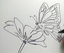 Sketsa kupu kupu yang indah sekali adi butterfly drawing drawings butterfly source: 3001 Sketsa Gambar Hewan Lengkap Dengan Cara Membuatnya