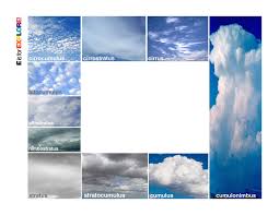 10 best photos of cloud identification printable cloud