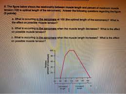 Muscle Physiology