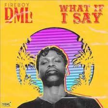 Onde, desde que foi publicado, o vibration by fireboy mp3 download book foi muito procurado pelos fãs, devido ao conteúdo de alta qualidade. Fireboy Dml What If I Say Mp3 Download Trendybeatz