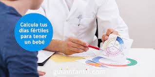 Dias Fertiles Para Quedar Embarazada