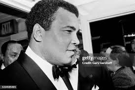 402 Cleveland Boxer Stock Photos, High-Res Pictures, and Images