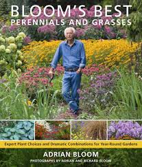 20 best perennial flowers for nj residents. Bloom S Best Perennials And Grasses Expert Plant Choices And Dramatic Combinations For Year Round Gardens Bloom Adrian 9780881929317 Amazon Com Books