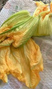Can you eat zucchini flowers raw. Traditional Italian Fried Zucchini Blossoms Courgette Squash Flowers Christina S Cucina