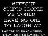 Smart people have the brains, but stupid people have the balls. 50 Stupid People Quotes Ideas Quotes Stupid People Stupid People Quotes