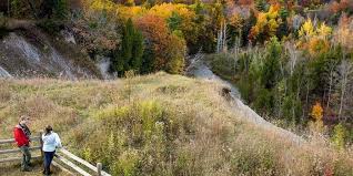 Seasonality may also affect available services. Fall Walk Festival In Rouge Park Continues Over Thanksgiving Weekend Toronto Com